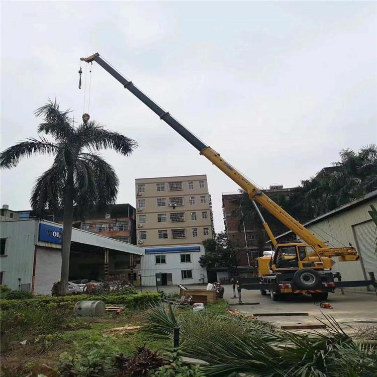 方城汽车吊出租多少钱？全面解析与市场行情